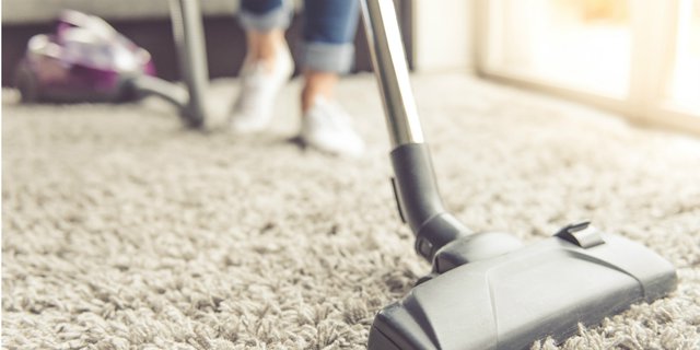 Agar Tetap Nyaman, Pastikan Karpet Selalu Bersih
